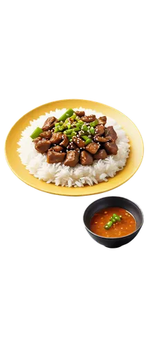 Delicious plate, Chinese dish, steaming hot, savory aroma, stir-fried vegetables, tender beef slices, fluffy white rice, golden brown sauce, garnished with green onions, ceramic plate, rounded shape, 