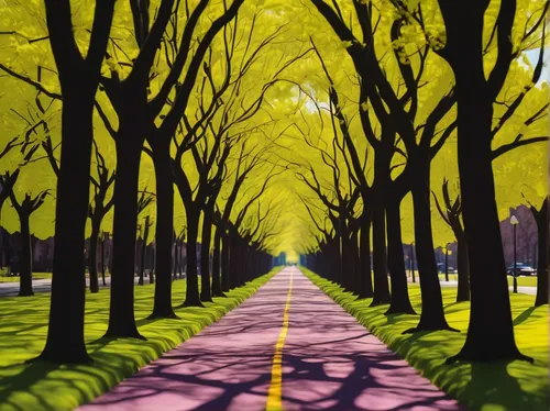 forest road,maple road,tree lined lane,tree-lined avenue,the road,road,tree lined path,background vector,racing road,open road,empty road,row of trees,cherry blossom tree-lined avenue,tree lined,defense,mountain road,country road,bicycle path,travel poster,sand road,Unique,3D,Toy