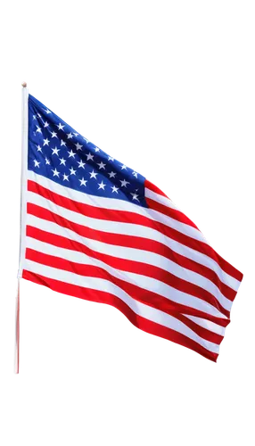 u s,liberia,ameri,patriotically,nusa,estados,usa,ukusa,united states of america,nerica,amerada,united state,america,jamerica,taurica,patriotas,united states,allmerica,merca,amerisourcebergen,Illustration,Black and White,Black and White 15