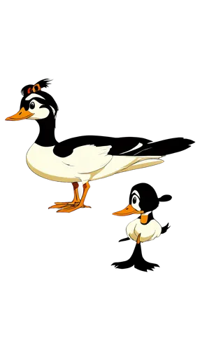 canards,shelducks,seiders,grebes,a pair of geese,waterfowl,phalaropes,fry ducks,waterfowls,eiders,ducks,wild ducks,constellation swan,geese,crested terns,jodocus,water fowl,wildfowl,cayuga duck,shelduck,Illustration,American Style,American Style 05