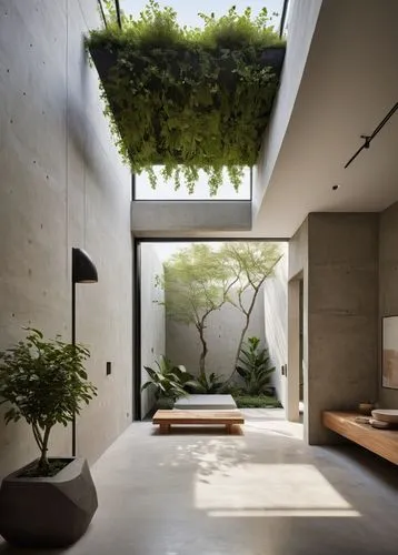 garden design sydney,landscape design sydney,zen garden,concrete ceiling,landscaped,hanging plants,Photography,General,Natural