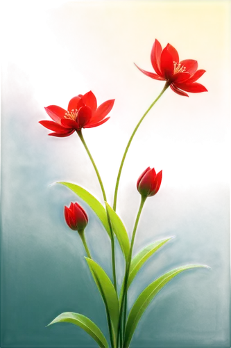 Red flowers, blooming, delicate petals, green stems, leafy, soft focus, vibrant red, subtle gradient, shallow depth of field, warm natural light, 3/4 composition, close-up shot, detailed texture.,red 