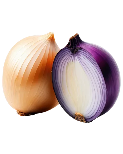 persian onion,onion bulbs,bulgarian onion,onion,red onion,cultivated garlic,still life with onions,onions,hardneck garlic,shallot,pearl onion,garlic,red garlic,clove garlic,onion peels,white onions,garlic bulbs,chinese garlic,head of garlic,rosy garlic,Illustration,Japanese style,Japanese Style 10