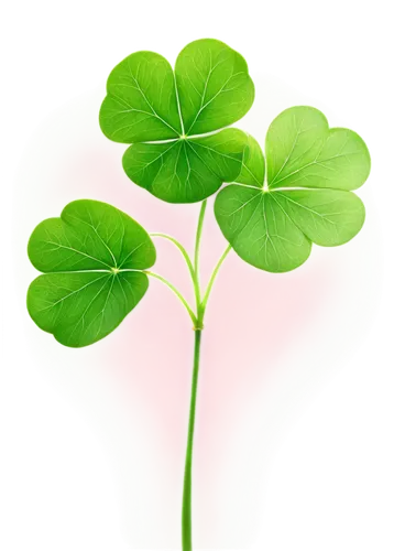 clover leaves,4-leaf clover,three leaf clover,five-leaf clover,4 leaf clover,four-leaf clover,four leaf clover,a four leaf clover,lucky clover,maidenhair,medium clover,shamrock,spring leaf background,clovers,pennywort,oxalis,narrow clover,long ahriger clover,pot of gold background,shamrocks,Conceptual Art,Sci-Fi,Sci-Fi 24