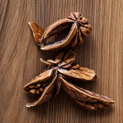 chestnut leaf,walnut leaf,star anise,chestnut leaves,wood flower,chestnut pods,chestnut with leaf,douglas fir cones,english walnut,wooden bowtie,cardamom,dried petals,chestnut fruit,wooden spinning to