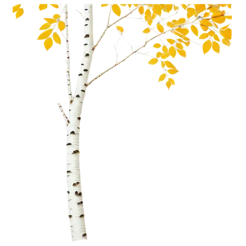 birch tree background,birch tree illustration,birch tree,birch,birch trees,sweet birch,river birch,canoe birch,american aspen,birch trunk,birch forest,tree white,birch sap,cardstock tree,birch bark,poplar tree,aspen,branch,swamp birch,dry branch,Illustration,Realistic Fantasy,Realistic Fantasy 11