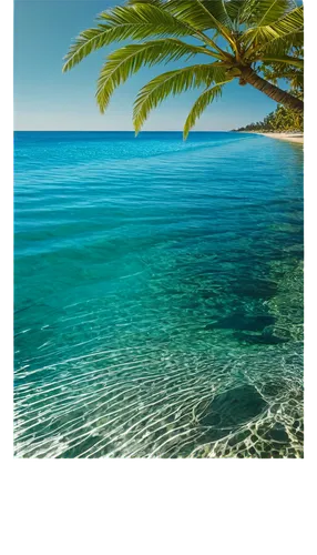 ocean background,tropical sea,tropical floral background,cuba background,rarotonga,noumea,savaii,caribbean sea,balearic islands,ionian sea,negril,heron island,antilles,summer background,oracabessa,chalkidiki,cook islands,reunion island,samoa,balearics,Photography,Documentary Photography,Documentary Photography 16