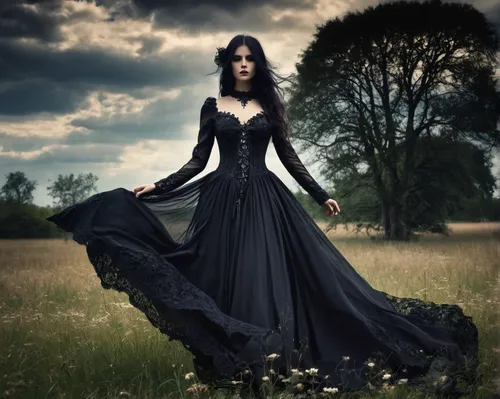 gothic dress,gothic fashion,gothic woman,gothic style,gothic portrait,dark gothic mood,evening dress,gothic,dress walk black,goth woman,girl in a long dress,victorian lady,overskirt,black and dandelion,ball gown,black rose,black dress with a slit,vintage dress,dark angel,victorian style,Illustration,Realistic Fantasy,Realistic Fantasy 46