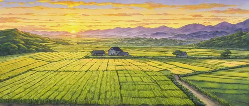 Describe a peaceful acre of farmland at sunrise.,yamada's rice fields,the rice field,rice field,rice fields,ricefield,rice terrace,rural landscape,farm landscape,aso kumamoto sunrise,rice paddies,ha g