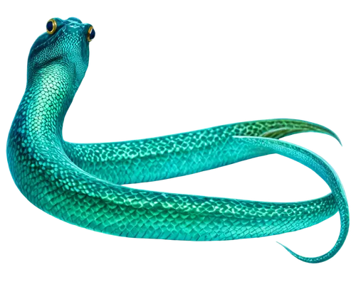 Long eel, aquatic creature, slender body, shiny scales, greenish-blue color, big eyes, mouth open, swimming, transparent fins, ripples in water, soft focus, natural light, 3/4 composition, warm tone.,