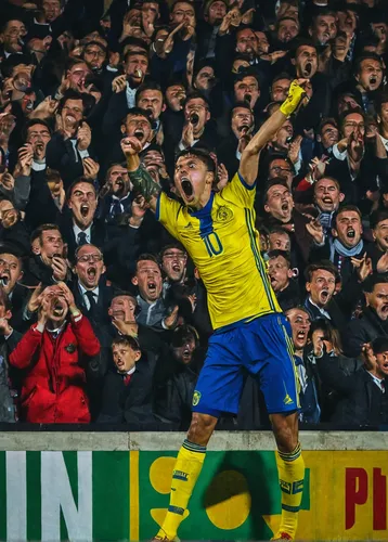 In a crowded stadium, the passionate fan turned into a screamer.,canaries,passion,sweden,celebration,swedish,brazilian terrier,kiev,ronaldo,boca camarioca,king arthur,crouch,celebrate,brazilian,piszke