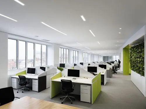 modern office,blur office background,intensely green hornbeam wallpaper,bureaux,greentech,ideacentre,staroffice,offices,daylighting,oticon,regus,headoffice,conference room,gensler,serviced office,assay office,search interior solutions,lendingtree,creative office,furnished office,Photography,Documentary Photography,Documentary Photography 04