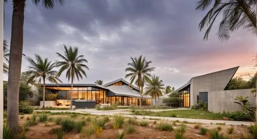 BLACK THEME, BLACK EXTERIOR WALL,landscape design sydney,landscape designers sydney,dunes house,two palms,date palms,modern house,garden design sydney,royal palms,palm pasture,modern architecture,palm