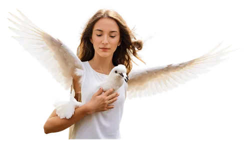 angel wings,angel wing,angel girl,anjo,angel,holy spirit,greer the angel,angelic,angelman,love angel,dove of peace,crying angel,angelus,angelology,divine healing energy,eckankar,angelfire,seraph,the archangel,angels,Illustration,Retro,Retro 01