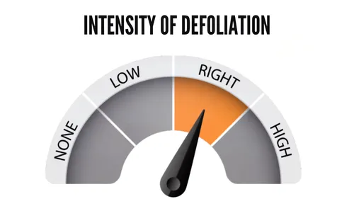 deregulation,downregulation,deregulate,deregulated,depletion,depolarization,declaratory,deregulatory,deregulating,desultorily,reflation,desalination,deregulations,respiration,indicator,deprivations,desulfurization,declivity,devaluation,devaluate