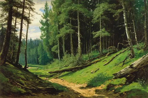 famous painting Forest Landscape of Ivan Ivanovich Shishkin,forest landscape,forest road,forest background,bavarian forest,the forests,coniferous forest,forests,forest path,forest,fir forest,the fores