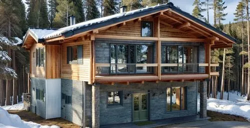 winter house,small cabin,timber house,inverted cottage,snow shelter,cubic house,snowhotel,the cabin in the mountains,snow house,log cabin,summerhouse,tree house hotel,chalet,glickenhaus,cabins,wooden house,electrohome,forest house,mountain hut,cooling house,Photography,General,Realistic