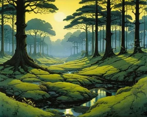 The New Forest at dawn,pine forest,forest landscape,brook landscape,the forests,forest,forests,cartoon forest,the forest,shirakami-sanchi,coniferous forest,forest glade,forest road,forest background,r