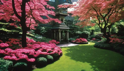 japan garden,japanese garden ornament,japanese garden,beautiful japan,ritsurin garden,japanese column cherry,sake gardens,japanese shrine,japanese zen garden,japanese cherry trees,landscape designers sydney,japan landscape,japanese carnation cherry,zen garden,hyang garden,english garden,secret garden of venus,spring in japan,wishing well,sakura tree,Photography,Fashion Photography,Fashion Photography 19