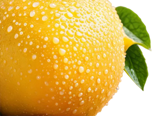 lemon wallpaper,lemon background,golden delicious,golden apple,juicy citrus,honey dew melon,lemon - fruit,muskmelon,citrus,lemon tree,yellow peach,mangue,yellow fruit,orange yellow fruit,citrus fruit,navel orange,pear quince,apfel,marmelade,citrus food,Photography,Artistic Photography,Artistic Photography 14