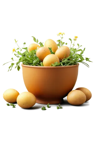 Easter Potatoes, still life, ceramic pot, golden yellow potatoes, green vines, bright colorful eggs, decorated with flowers, soft focus, warm lighting, shallow depth of field, pastel color tone, 3/4 c