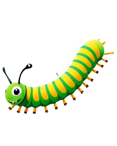 centipede,caterpillar,millipedes,larva,pellworm,worm,cutworms,caterpillars,maguey worm,noorderleech,hornworm,waxworm,larval,silkworm,caterpillar gypsy,swallowtail caterpillar,mealworm,earwig,sawfly,butterfly caterpillar,Unique,Design,Infographics