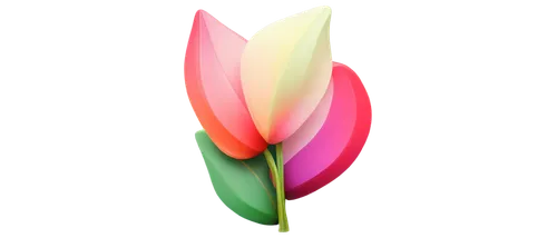 tulip background,flowers png,turkestan tulip,pink tulip,tulip,tulip blossom,tulipa,tulip flowers,tulip bouquet,two tulips,vineyard tulip,lady tulip,wild tulip,tulips,lotus png,violet tulip,tulip magnolia,tulipa tarda,siam tulip,pointed flower,Photography,Artistic Photography,Artistic Photography 06