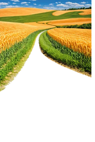 wheat crops,wheat field,wheat fields,landscape background,field of cereals,cornfield,corn field,onion fields,french digital background,strand of wheat,barley field,farmland,nature background,green wheat,yellow grass,straw field,field of rapeseeds,vegetables landscape,green fields,cornfields,Illustration,American Style,American Style 08