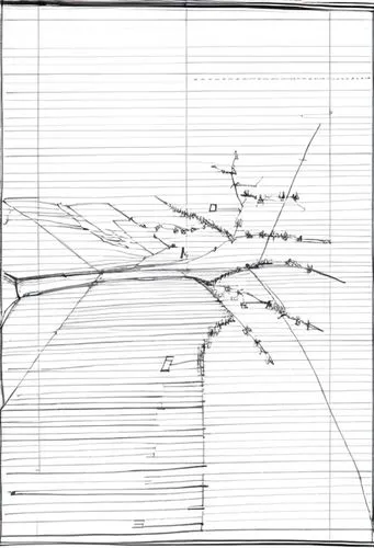 vector spiral notebook,intersection graph,conductor tracks,trajectory of the star,constellation map,travel pattern,sheet drawing,landscape plan,map outline,klaus rinke's time field,spider network,seis