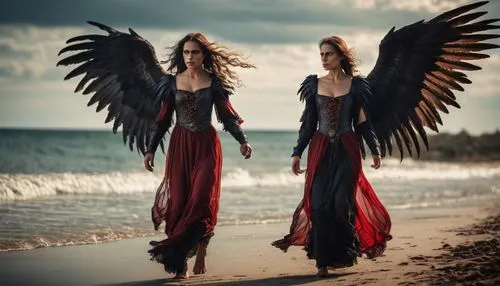 dark angel,angels of the apocalypse,archangels,harpies,angel and devil,black angel,death angel,eretria,valkyries,angelology,seraphim,samael,angels,angel of death,nightwish,sorceresses,epica,seraph,delain,sabriel,Photography,General,Cinematic