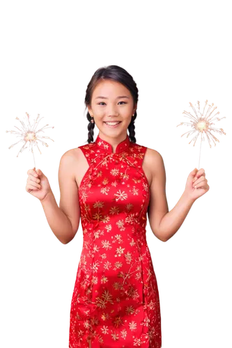 new year clipart,new year vector,fireworks background,turn of the year sparkler,new years greetings,happy chinese new year,sparkler,firecrackers,new year's greetings,new year's eve 2015,firework,firecracker,happy new year,hny,new year 2015,red confetti,new year celebration,sparklers,firecracker flower,newyear,Conceptual Art,Daily,Daily 06