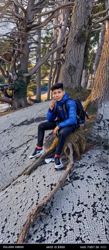 crooked forest,child in park,driftwood,pebble beach,wood and beach,rottnest,tree slice,wooden bench,rottnest island,3d albhabet,bench by the sea,tree swing,coogee,boy and dog,the girl next to the tree,tree break,logs,log,benches,monoski