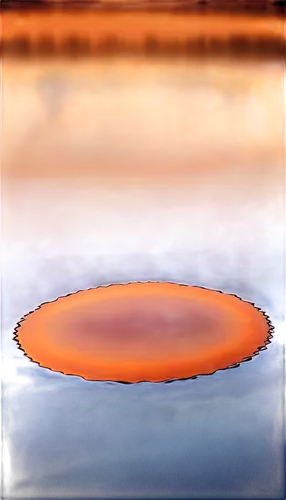 surface tension,pond lily,broadleaf pond lily,salt evaporation pond,lotus on pond,reflection of the surface of the water,salt pan,lily pond,pond lenses,reflection in water,water surface,pond,orange,pond flower,large water lily,l pond,saltpan,lily pads,on the water surface,red water lily,Illustration,Retro,Retro 01