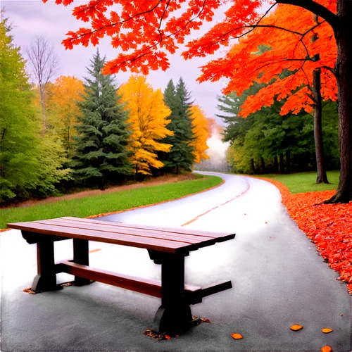 autumn background,autumn landscape,red bench,fall landscape,park bench,wooden bench,autumn scenery,picnic table,bench,autumn in the park,outdoor bench,outdoor table,autumn idyll,the autumn,maple road,autumn park,autumn theme,benches,landscape background,autumn frame,Photography,Documentary Photography,Documentary Photography 29