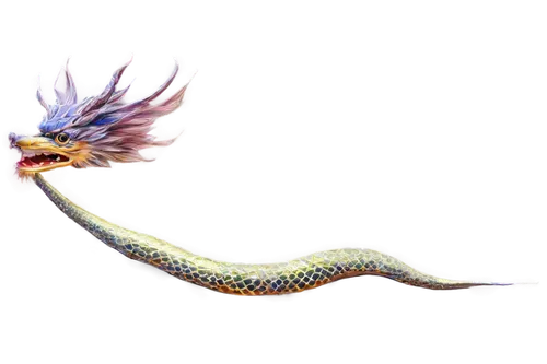 dragonair,quetzalcoatl,kukulkan,painted dragon,dragon design,alebrije,constellation snake bearer,wyrm,noodle image,sekaric,basilisk,gopendra,naga,kirin,wyvern,golden dragon,vipera,wehrung,brisingr,jaggi,Illustration,Realistic Fantasy,Realistic Fantasy 27