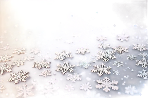 snowflake background,christmas snowflake banner,snowflakes,christmas snowy background,snow flake,white snowflake,gold foil snowflake,snowflake,winter background,summer snowflake,ice crystal,frosted glass,ice rain,christmasbackground,frosted glass pane,blue snowflake,snowfall,fire flakes,watercolor christmas background,flakes,Conceptual Art,Fantasy,Fantasy 27