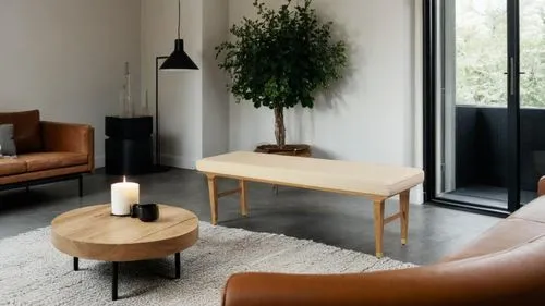 modern minimalist lounge,anastassiades,danish furniture,contemporary decor,modern decor,scandinavian style