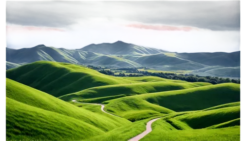 rolling hills,winding road,winding roads,landscape background,hills,green landscape,mountain road,virtual landscape,banks peninsula,mountainous landscape,nzealand,tararua,paeroa,manawatu,green valley,taiaroa,akaroa,palouse,mountain slope,castelluccio,Photography,Documentary Photography,Documentary Photography 20