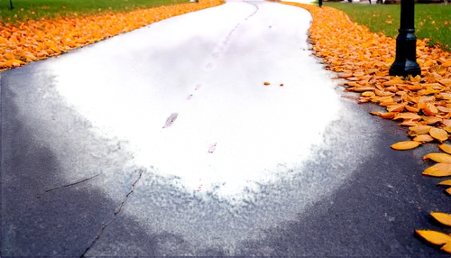 Urban sidewalk, afternoon sun, straight path, grey concrete, white pedestrian line, small puddles, autumn leaves scattered, streetlamp, shallow depth of field, warm color tone, 3/4 composition, cinema