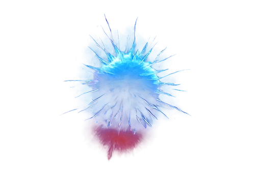 flavivirus,reovirus,mimivirus,airburst,supernova,crown chakra,macula,keratinocyte,corona virus,acanthamoeba,kirlian,crown chakra flower,entamoeba,netburst,plasma ball,adipocyte,protostar,antihydrogen,rotifer,eosinophil,Conceptual Art,Fantasy,Fantasy 32