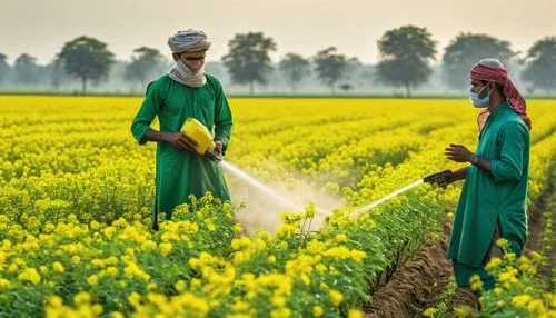 biopesticides,biopesticide,agrochemical,neonicotinoids,field cultivation,agrochemicals,other pesticides,punjab,chlorpyrifos,pesticides,agriculturist,irrigation,irrigator,herbicides,agribusinessman,agriculturalists,agriculturists,agricultural engineering,agribusinesses,irrigators,Photography,General,Realistic