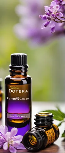 doterra,lavender oil,bottles of essential oils,essential oil,heloderma,flower essences,essential oils,verbena family,homeopathically,aromatic aster,jojoba oil,tanacetum balsamita,aromatherapy,amazonian oils,lobelia,verbena,aromatic herb,natural perfume,aromatic herbs,naturopathy,Illustration,Abstract Fantasy,Abstract Fantasy 14