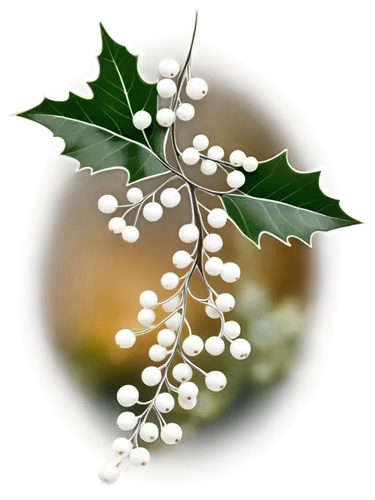 mistletoe berries,fir tree decorations,holly wreath,holly berries,white bush,jasmin-solanum,wreath vector,currant decorative,decorate christmas tree,american holly,swedish mountain ash,christmas garland,fragrant snowball,white currants,christmas motif,tree white,ornamental shrub,flower of christmas,sorbus,christmas tree decoration,Illustration,Black and White,Black and White 11