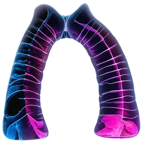 mediastinum,mediastinal,larynx,achalasia,hyperparathyroidism,gastroesophageal,pulmonology,pulmonic,aorta,hypopharynx,splenomegaly,mecyclothorax,enterocolitis,pneumonitis,bronchial,alveolus,pneumothorax,esophageal,pulmonary,tachypnea,Conceptual Art,Oil color,Oil Color 09