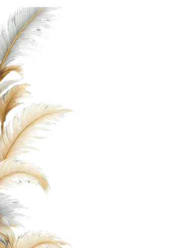 white feather,swan feather,chicken feather,ostrich feather,bird feather,feather,foxtail,chrysanthemum background,ornamental grass,hawk feather,feather bristle grass,parrot feathers,palm tree vector,sunburst background,feathers,silver grass,palm leaf,palm fronds,flowers png,peacock feather,Art,Classical Oil Painting,Classical Oil Painting 33