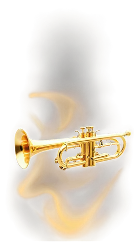 gold trumpet,flugelhorn,trumpet gold,saxhorn,trumpet,drawing trumpet,brass instrument,trumpet shaped,trumpeter,fanfare horn,instrument trumpet,trumpet of jericho,wind instrument,saxophone,fanfares,tenor saxophone,trumpeted,trumpet valve,mellophone,trumpeting,Photography,Documentary Photography,Documentary Photography 24