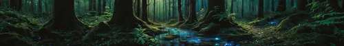 Enchanted forest. The forest floor is covered in moonstones that shine in the dim forest sky,forest of dreams,forest,bamboo forest,forest dark,haunted forest,fairy forest,forest floor,green forest,elv