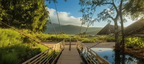 agrega mas agua y arena 
,the bridge is going down to the river for people to fish,teak bridge,wooden bridge,hanging bridge,vieng,salalah,inle,Photography,General,Realistic