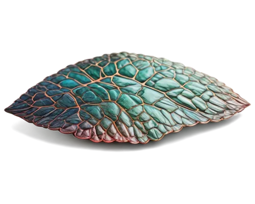 pine cone ornament,magnolia leaf,tree leaf,gradient mesh,skeleton leaf,spiny sea shell,acorn leaf,fern leaf,pinecone,tropical leaf,glass ornament,glitter leaf,palm leaf,dried leaf,lotus leaf,leaf background,leaf structure,ammolite,labradorite,chestnut leaf,Illustration,Realistic Fantasy,Realistic Fantasy 15