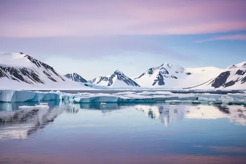 Arctic reflections, © Daisy Gilardini (CAN), Runner-up, Nature Photographer of the Year,arctic antarctica,antarctic,antarctica,antartica,arctic ocean,greenland,nordland,baffin island,arctic,glacial me